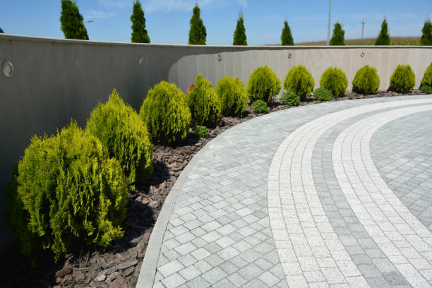 Best Driveway Paving Contractor  in Statesville, NC